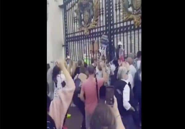 המפגינים צבאו על שער ארמון באקינגהאם וצעקו: "פדופיל"