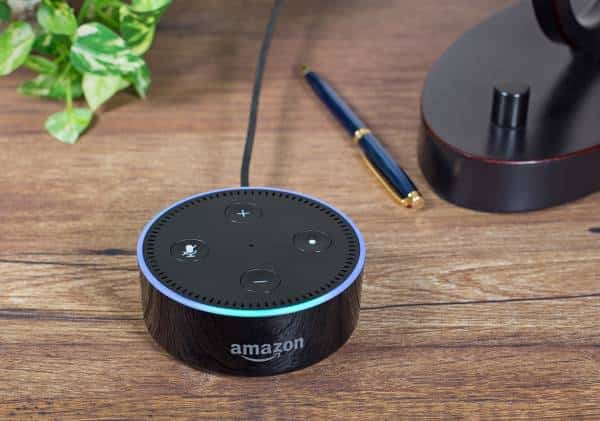 עדת המפתח בפרשת רצח בפלורידה: אמזון אלקסה