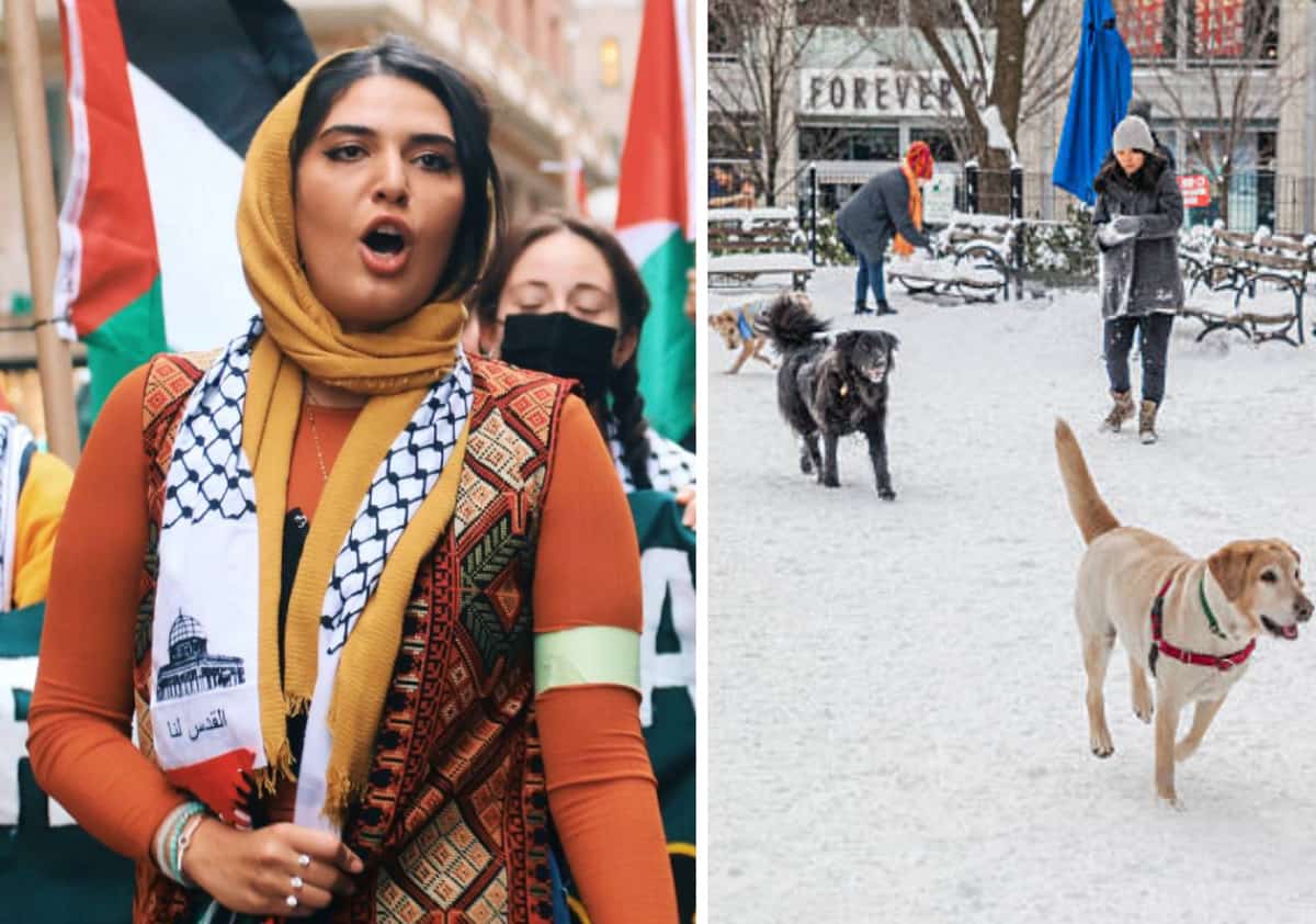 פעילה פלסטינית מוכרת מניו יורק קוראת לאסור על כלבים כחיות מחמד כי זה נוגד את האסלאם