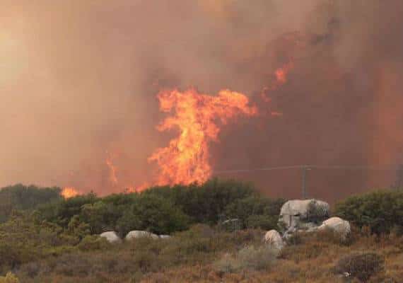 קליפורניה: נעצר חשוד בהצתת השריפה שהובילה לפינוי המוני