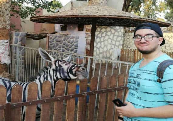 האם הזברה הזו היא בעצם חמור? המבקרים בגן החיות חושדים שכן