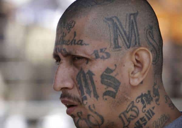 "הם מפלצות, אנחנו עוברים לשלב הבא": ממשל טראמפ במהלך חסר תקדים כנגד הכנופייה שמטילה אימה על ארה"ב