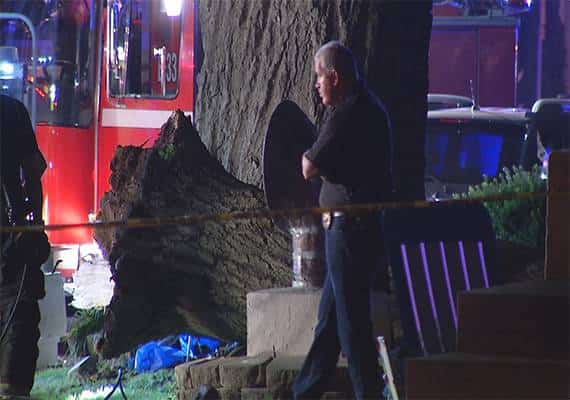 אסון באילנוי: הרוגים מקריסת עץ בזמן מופע זיקוקים 