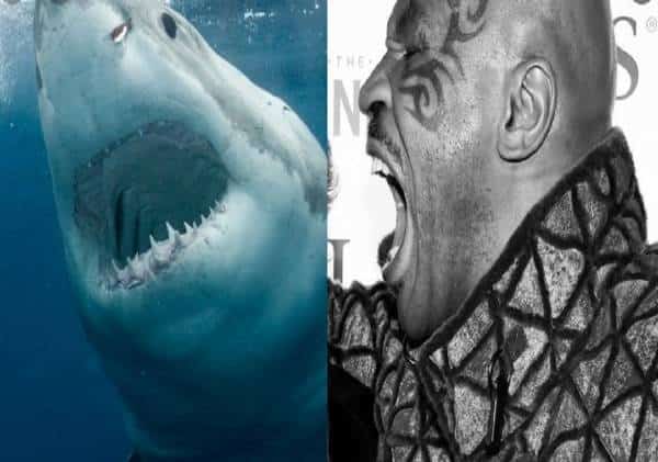 מי ינשך ראשון?  מייק טייסון בקרב נגד כריש לבן  