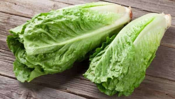 ה-FDA: מקור החסה הנגועה באי-קולי - בקליפורניה