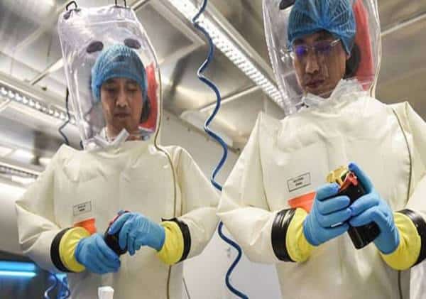 נחשפו המסמכים המאששים את החשד הנורא: המעבדה בווהאן ביצעה שורה ארוכה של ניסויים בעטלפים תוך שימוש בנגיפי קורונה