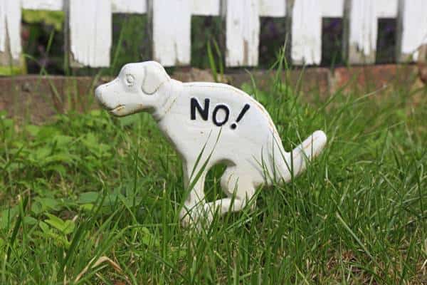 קונטיקט: שני גברים וכלבם נדקרו, לאחר שהכלב עשה את צרכיו בחצר ביתו של גבר שלישי