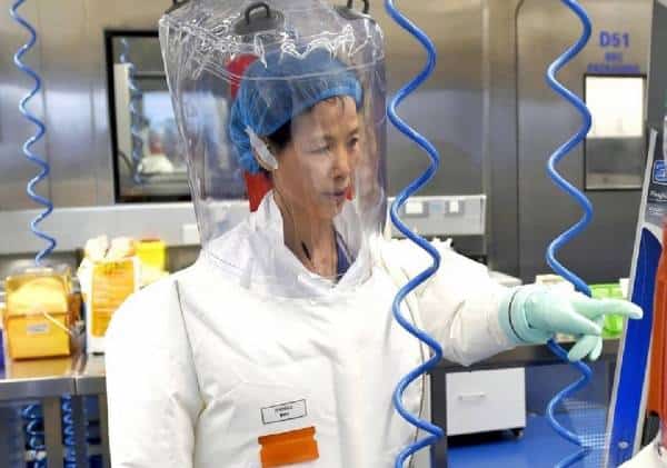 חשיפה! המעבדה בווהאן השמידה 300 מחקרים על מעבר נגיפים מבעלי חיים לבני-אדם, מחקריה של 'אשת העטלף' הושמדו בדצמבר