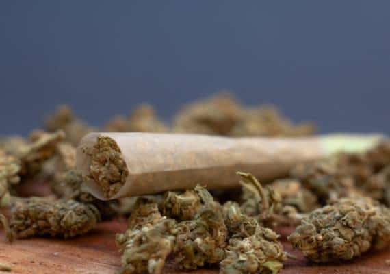 מושל ניו יורק לא בטוח שתהיה לגליזציה השנה, בגלל שהמחוקקים מתחרטים