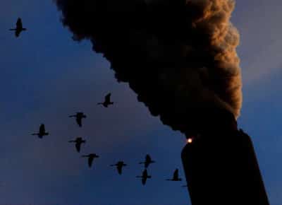 מהלך חסר תקדים בוושינגטון: טראמפ מוחק את חוקי האקלים