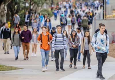 דו"ח של אונ' קליפורניה חושף ירידה חדה ביכולות הסטודנטים: "אוצר המילים שלהם מצטמצם"