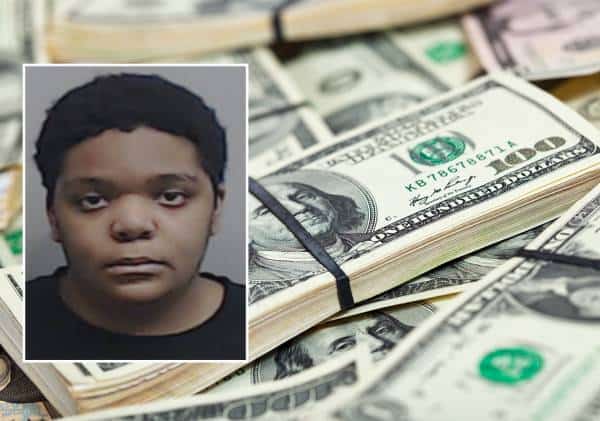 עקיצה מקוונת: כך השיג נער בן 18 עשרות מיליוני דולרים מרשות המסים