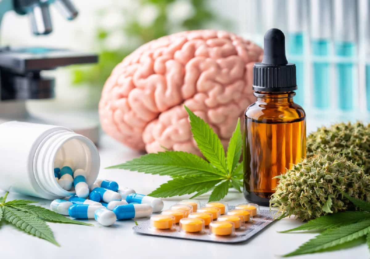 תקווה חדשה למניעת דמנציה: השילוב הלא צפוי שנבדק במעבדה