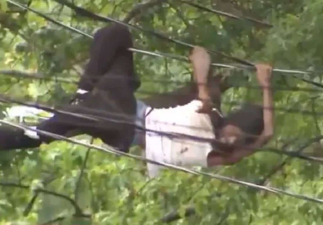 ‏סרטון פרוע: החשוד מטפס על קווי חשמל במהלך מסע הפשע ב-DC ‏