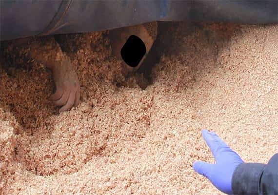 איש הקש: גבר ניסה להסתנן לארה"ב בצורה מקורית