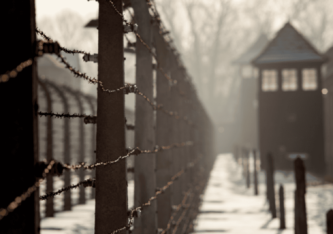 בכירה במערכת החינוך בטקסס: מורים שמלמדים על השואה – צריכים להציג השקפות מנוגדות