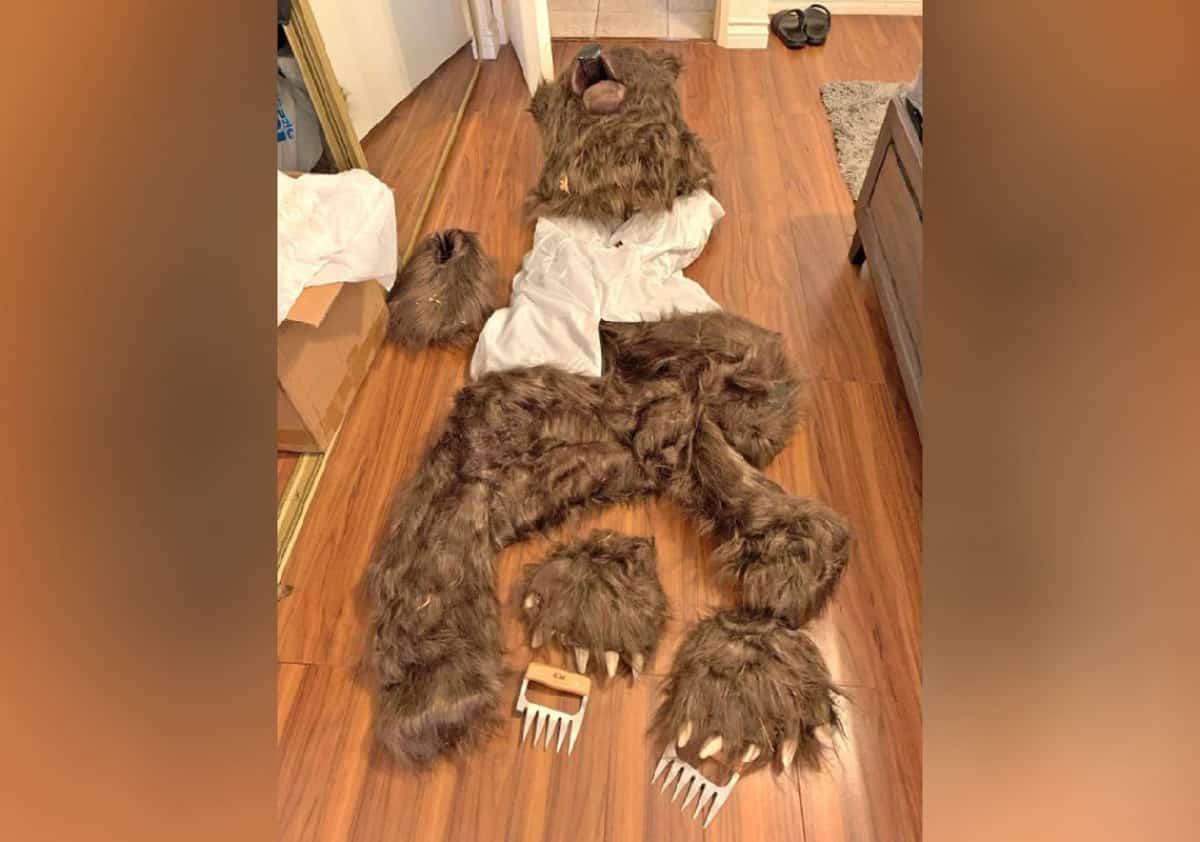 הונאת ביטוח יוצאת דופן בלוס אנג'לס: התחפשו לדוב כדי להשחית רכבי יוקרה ולהוציא פיצויים