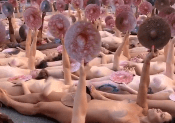 ניו יורק: מאות התפשטו באמצע הרחוב במחאה נגד פייסבוק