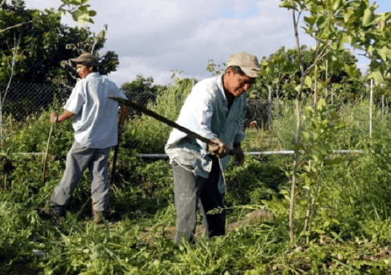 "המשרד לקורבנות פשיעה קשורת-הגירה" מציג: השד לא כזה נורא
