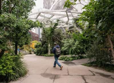 מהפכת העבודה החדשה: גל פיטורים עצום בארה"ב – ודור צעיר שלא נכנע 