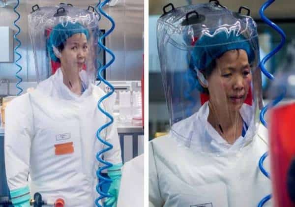 אשת העטלף עונה לטראמפ: "הוא חייב לנו התנצלות", מדענים בכירים מתעקשים - "היא משקרת בנוגע למקור הנגיף"