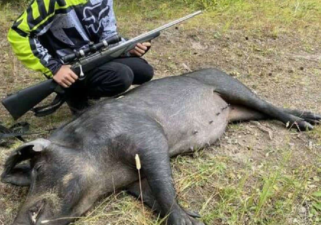 במשקל רכב: מתקפת 'חזירי העל הקנדים' בדרך לגבול ארצות הברית