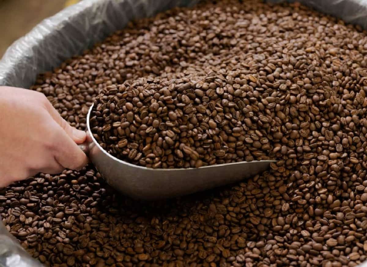 הכוס שהתייקרה: כיצד מלחמת איראן, בצורות בברזיל וקרנות גידור בוול סטריט גרמו לכך שהקפה שלכם עולה יותר  