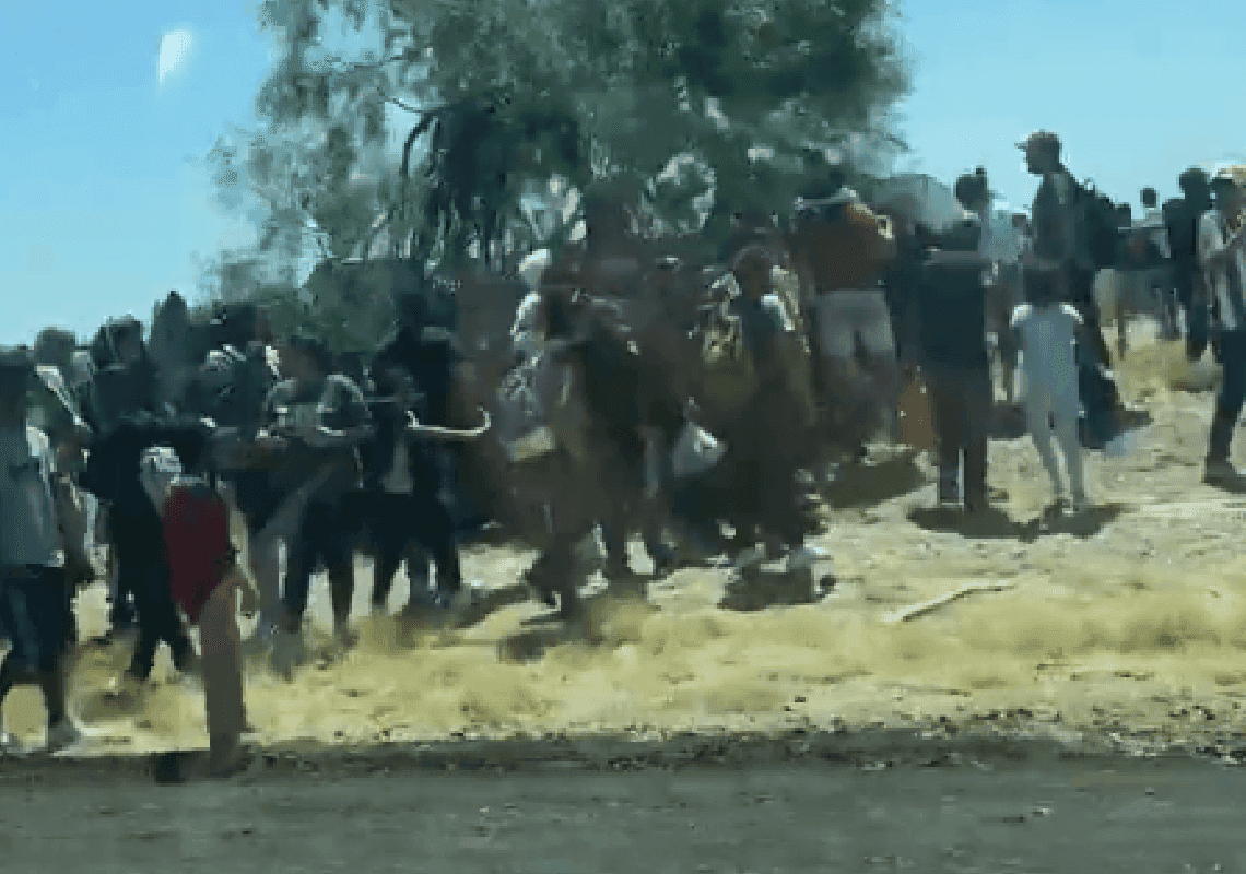 כך נראה משבר הגבול: מאות מהגרים משוטטים בצד הדרך בטקסס