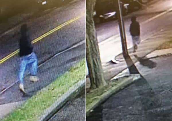 "אדם אלים במיוחד שפועל באופן אקראי": תוקף סדרתי מטיל אימה על עיר שלמה