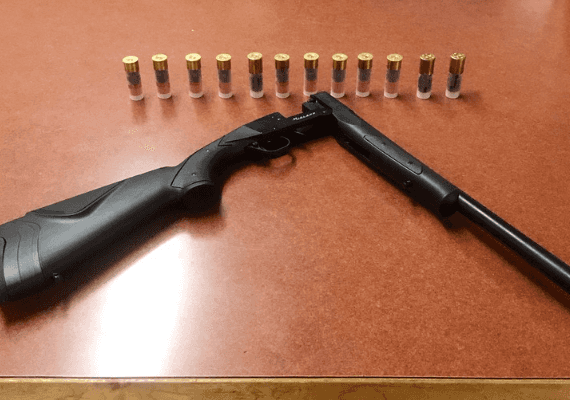 ניו יורק: שוטרים סיכנו את חייהם כדי להציל צעיר שניסה להתאבד