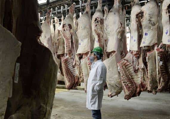 בעקבות התפרצות סלמונלה: ריקול ל-6.5 מיליון פאונד בשר בקר טחון