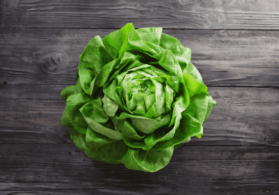 חוששים לקנות חסה? הסימון הזה יבטיח לכם שהיא לא נגועה בחיידק אי-קולי