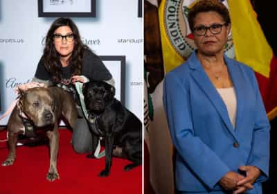 הקומיקאית שתובעת את עיריית לוס אנג'לס וראשת העיר: טוענת להתעללות שיטתית בכלבים בעיר