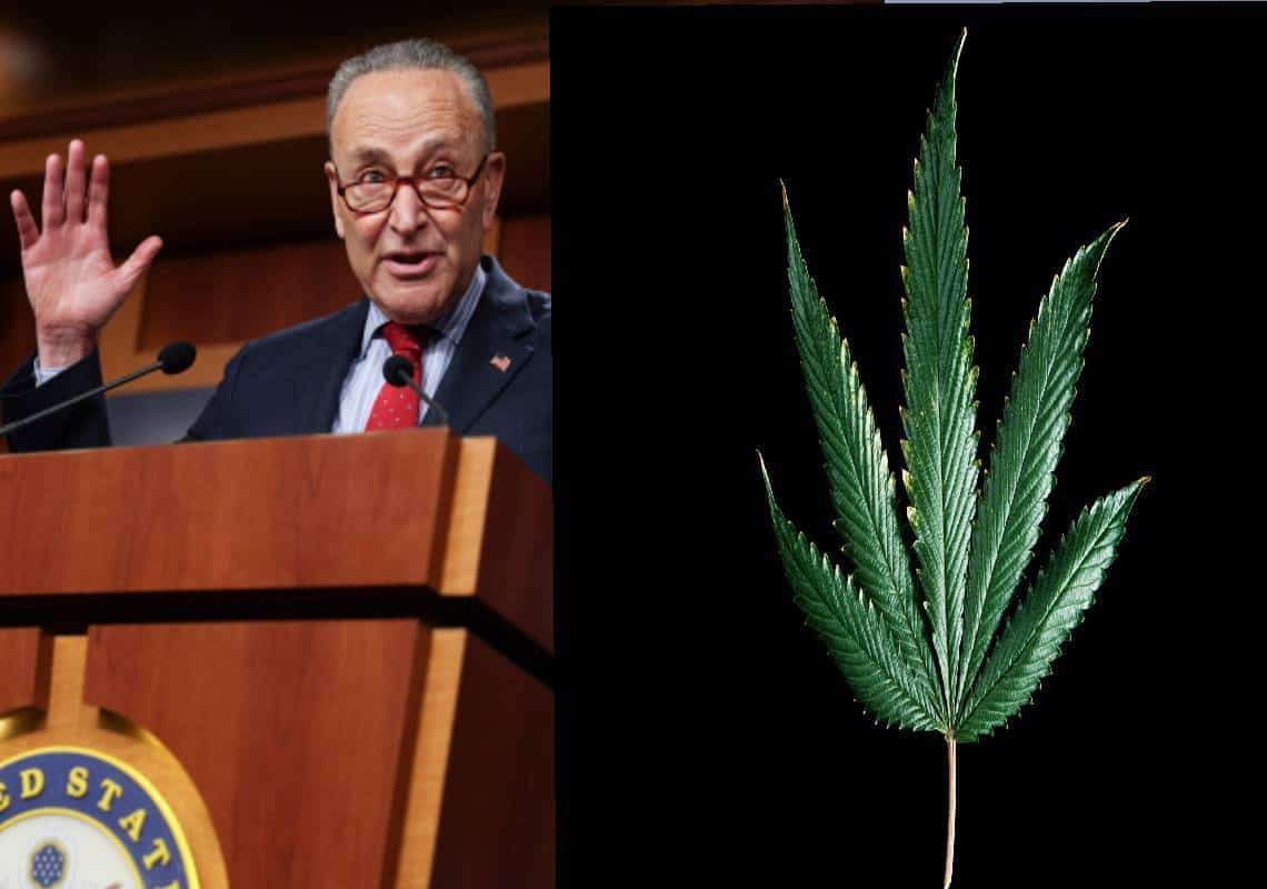 לגליזציית מריחואנה בכל 50 המדינות? - "אנו מתקדמים עם הצעת החוק עם או בלי ביידן"