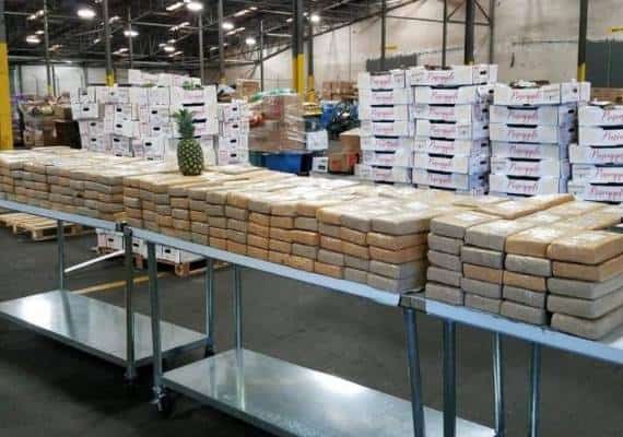 תפיסה מתוקה: קוקאין בשווי של 19 מיליון דולר נמצא בתוך משלוח של אננס