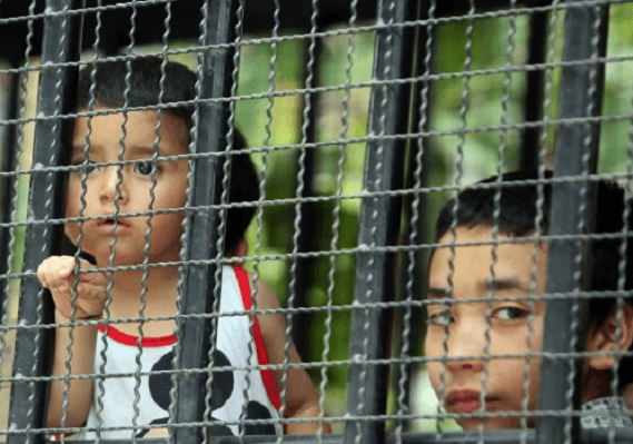 סשנס: מתקני ילדי המהגרים שונים ממחנות הריכוז הנאציים "כי בגרמניה ניסו למנוע מהיהודים לעזוב"