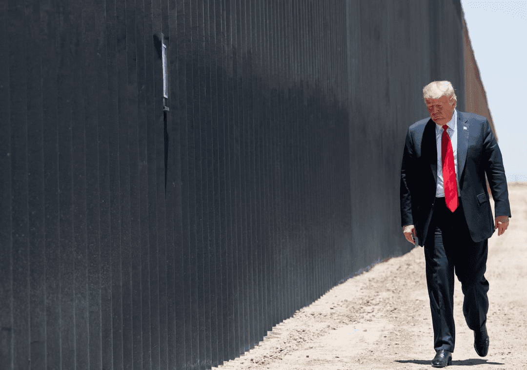 הביקוש חוזר לשיא: התחום שזוכה להתעוררות מאז שטראמפ חזר לבית הלבן