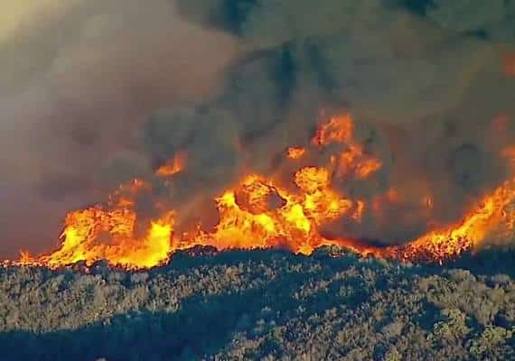 גל השריפות בדרום קליפורניה: התפתחות מפתיעה בחקירת נסיבות האירוע