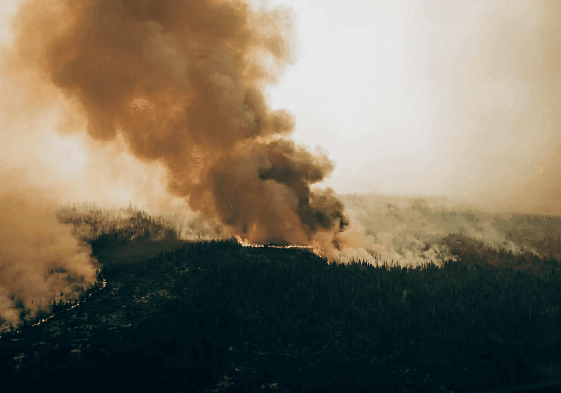 קנדה רושמת את עונת השריפות הגרועה בהיסטוריה - וארה"ב סובלת מכך 