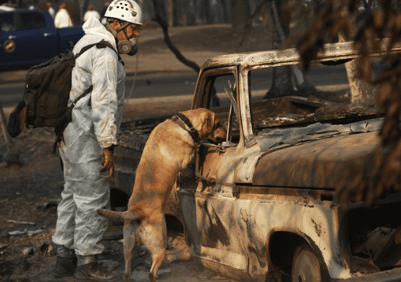 רשימת הנעדרים בשריפת קאמפ הצטמצמה, הצוותים פועלים במירוץ נגד הגשם