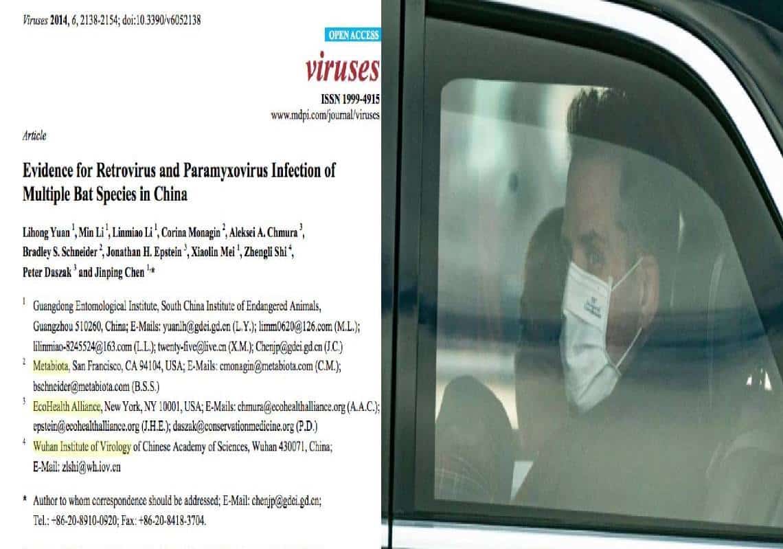 בלתי יאמן! חברה בבעלות האנטר ביידן מימנה את פעילות המכון הווירולוגי בווהאן במשך שנים!