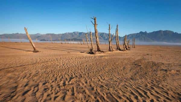 קייפטאון מעוררת השראה בהתמודדות מול הבצורת הקשה עם פתרונות שבקליפורניה לא חלמו עליהם