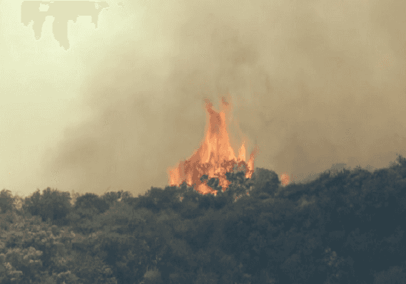 לוס אנג'לס: שריפת שיחים מאיימת על בתים באזור בנדיקט קניון