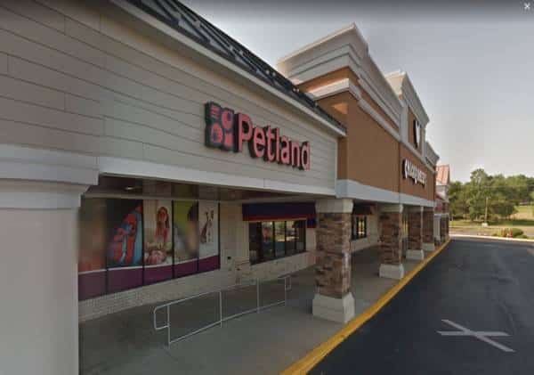 אזהרה: התפרצות מגיפה ברחבי ארה"ב כתוצאה ממגע עם חיות מחמד