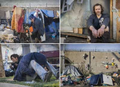 המחלה הטרופית שחדרה ללב קליפורניה