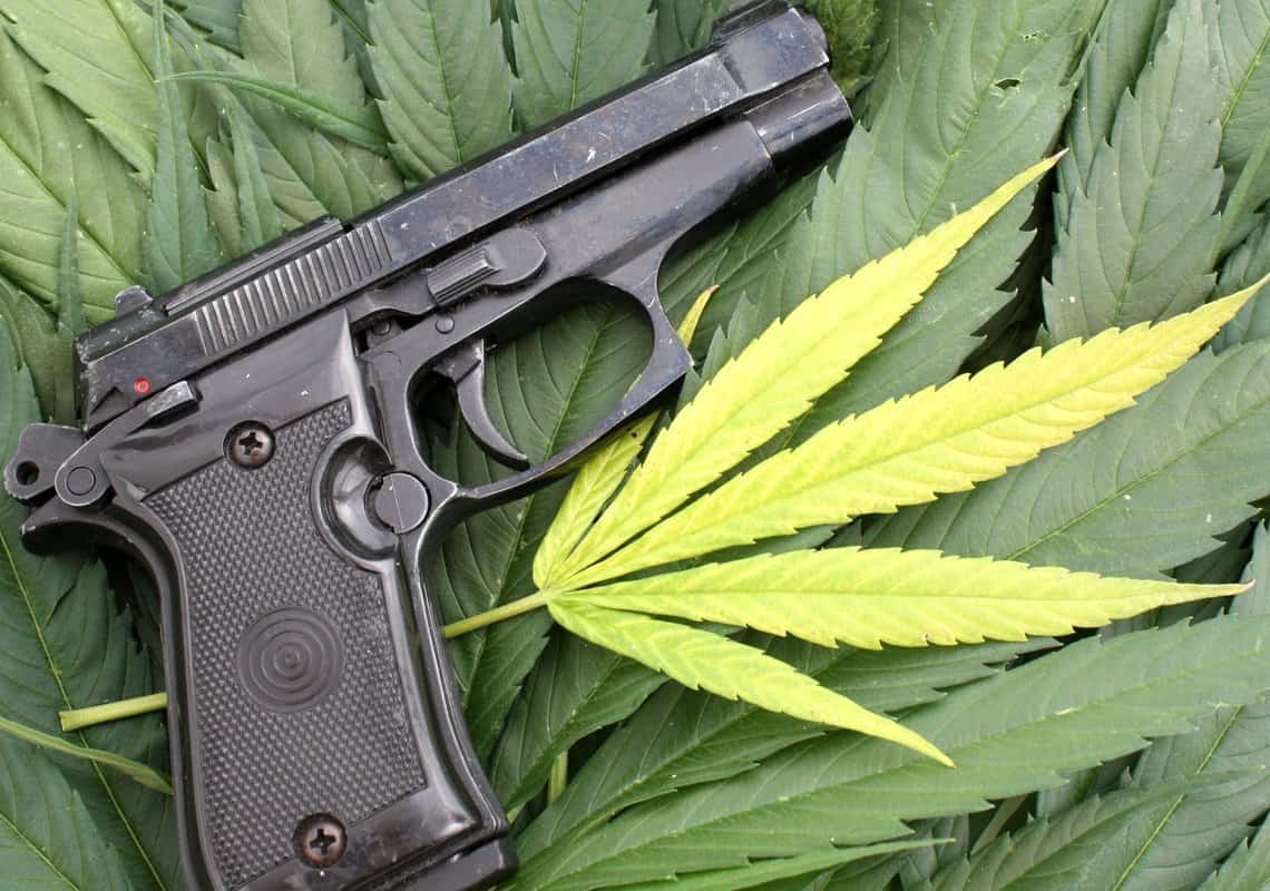 פסיקה תקדימית של ביהמ"ש הפדרלי: שימוש במריחואנה אינו פוסל אדם מלהחזיק כלי נשק