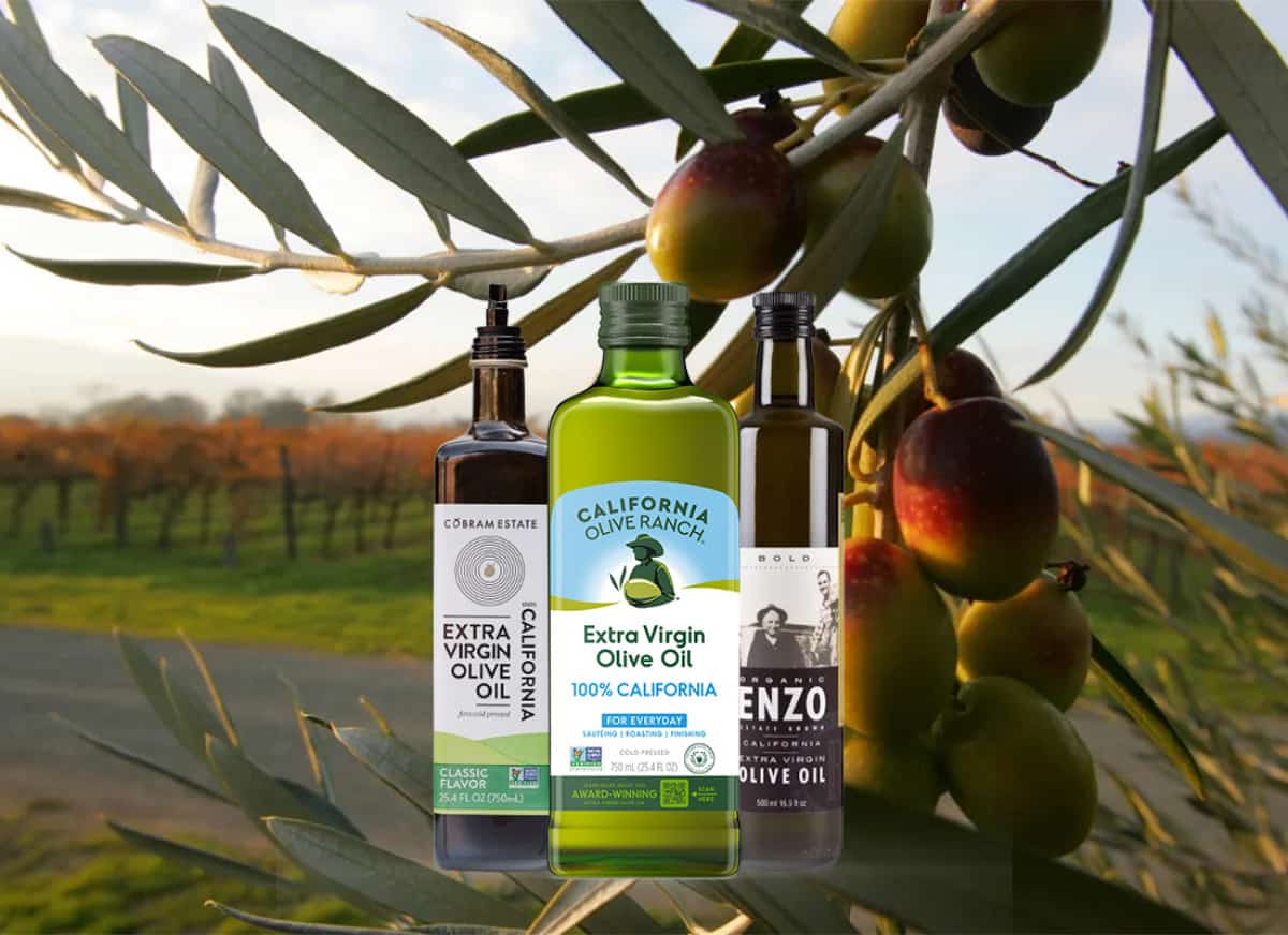 בעזרת שמש הנצחית, קרקע עשירה ותשוקה לחקלאות וחדשנות מדינת קליפורניה הפכה למעצמת שמן זית בינלאומית, עם מותגים יוקרתיים שזוכים בפרסים עולמיים ששינו 