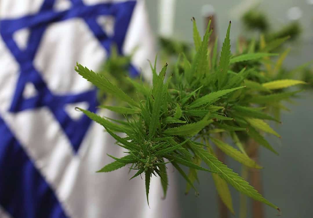 דעה: בן גביר - אתה באמת רוצה לחסל את הפשיעה בדרום? תתחיל ברפורמת נשק ובליגליזציית קנאביס