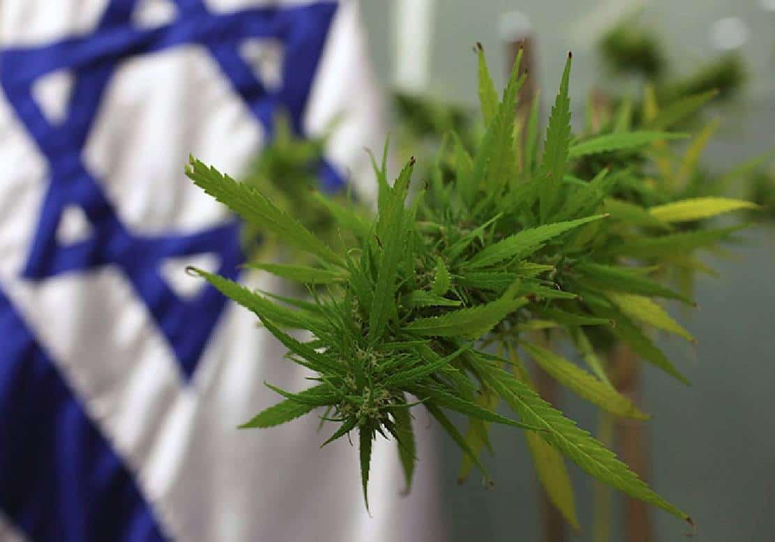 דעה: בן גביר - אתה באמת רוצה לחסל את הפשיעה בדרום? תתחיל ברפורמת נשק ובליגליזציית קנאביס