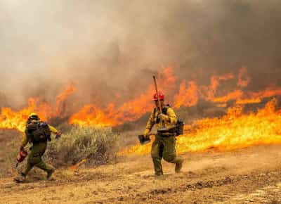 שריפת מאדרה שוברת שיאים: 80,000 דונם עולים באש בקליפורניה